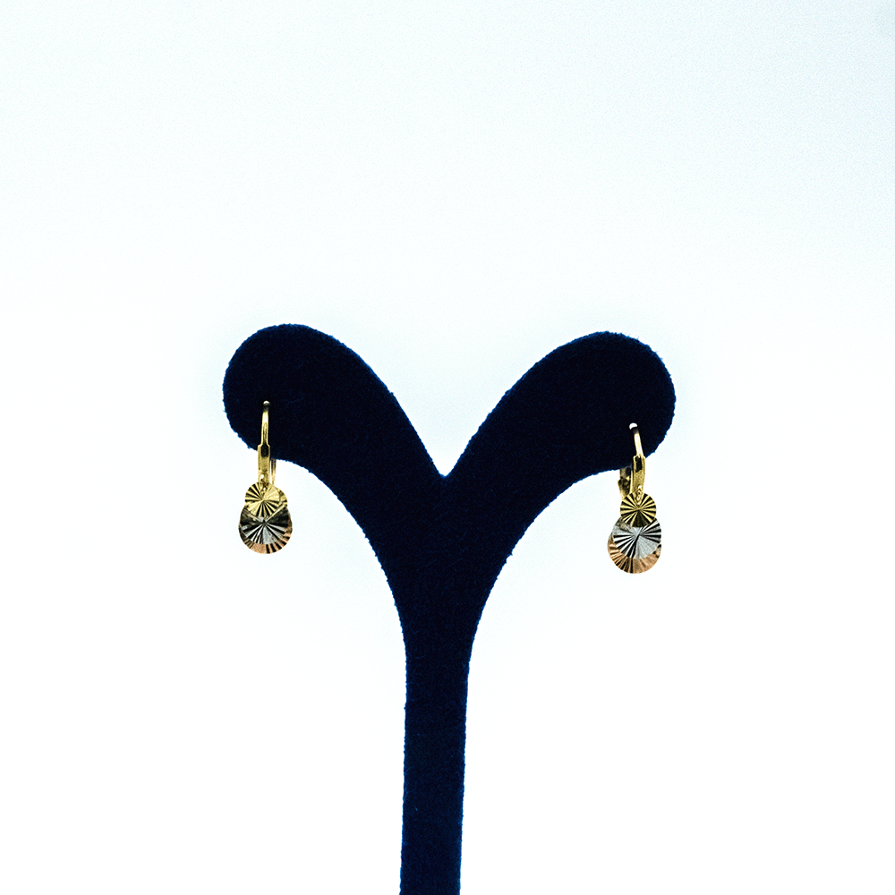 14 Ayar Renkli Parıltılı Daire Sallantılı Altın Küpe