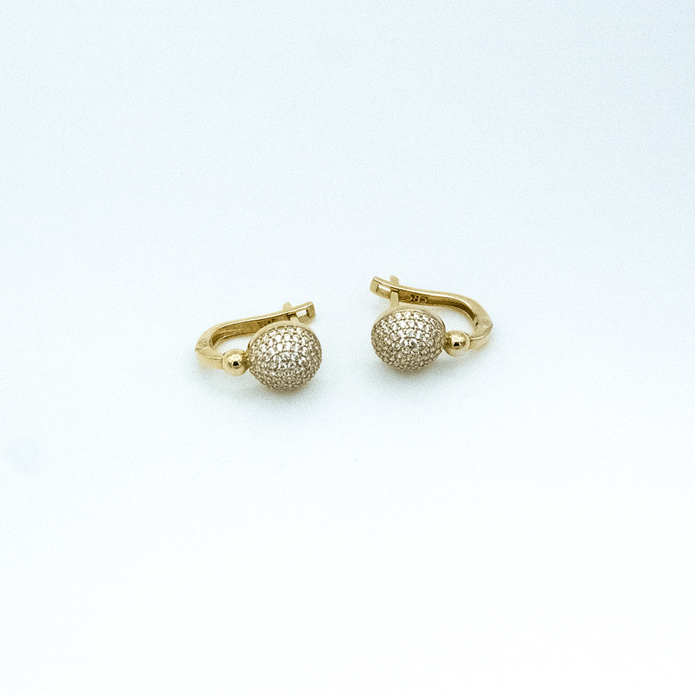 14 Ayar Yuvarlatılmış Daireli Taşlı Altın Küpe