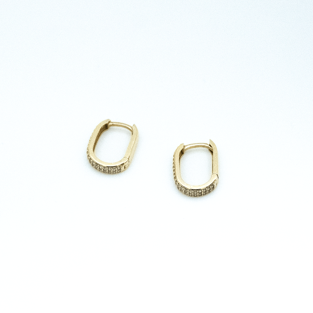 14 Ayar Yuvarlak Taşlı Oval Altın Küpe