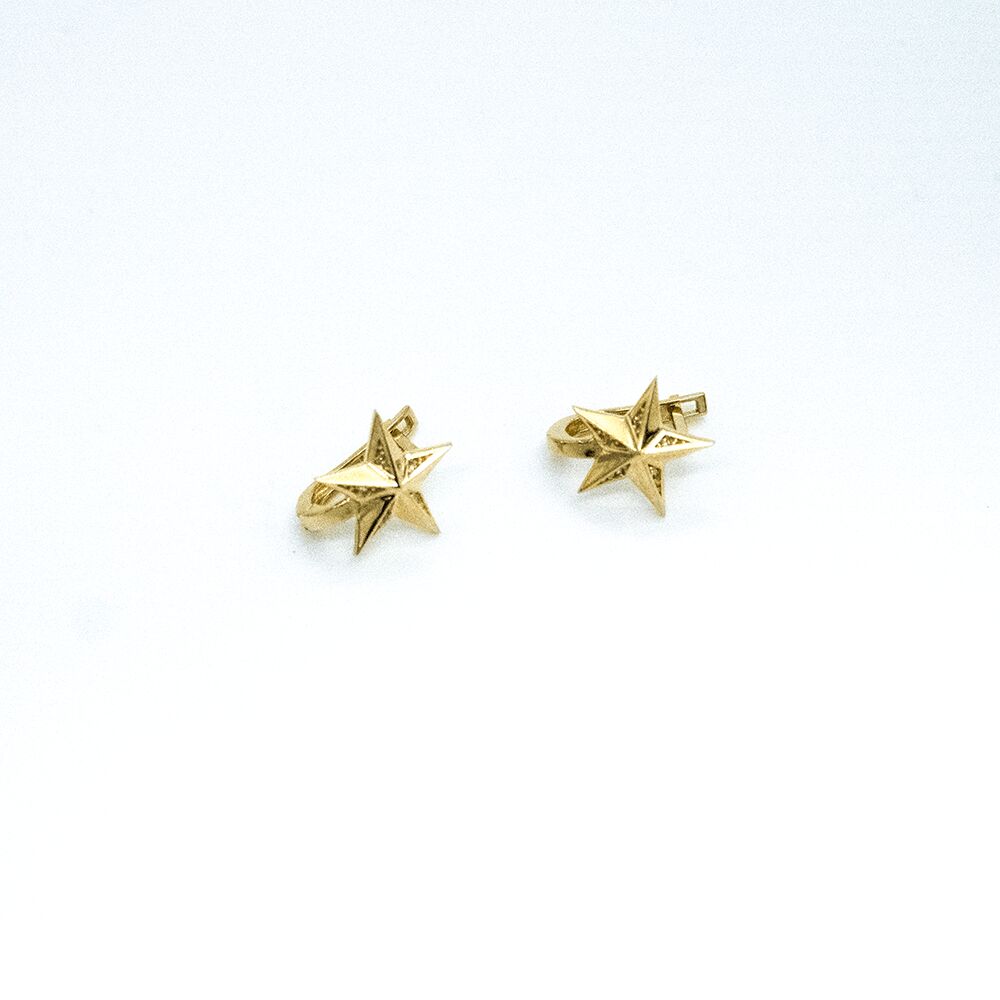 14 Ayar Taşlı Yıldız Model Altın Küpe